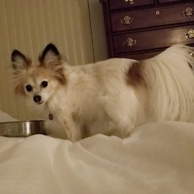 bobjohn96249013's profile picture. ask me anything and i will tell you that in that in our dm.....