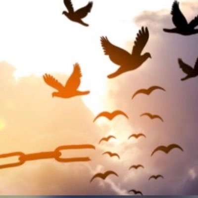 Gost75801442's profile picture. في قلوبنا مالا يُحكى وفي صمتنا مالايُنطق❤️‍🩹