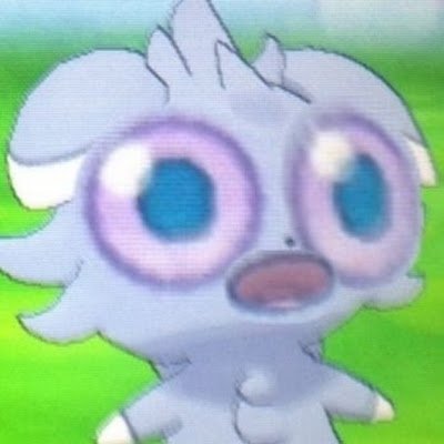 @chicken6206