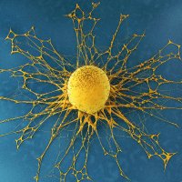 Therapeutic Advances in Medical Oncology (@tamedoncol) 's Twitter Profile Photo Therapeutic Advances in Medical Oncology (@tamedoncol) 's Twitter Profile Photo