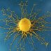 Therapeutic Advances in Medical Oncology (@tamedoncol) Twitter profile photo Therapeutic Advances in Medical Oncology (@tamedoncol) Twitter profile photo