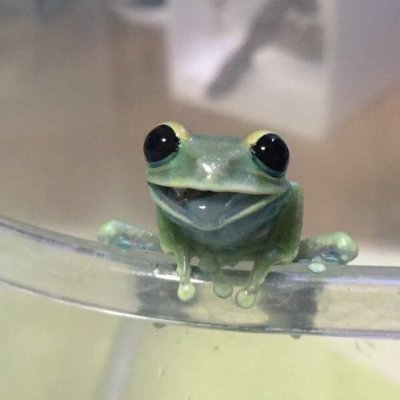 alaska_thorne's profile picture. 
