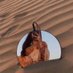 غَ. (@4t2iil) Twitter profile photo غَ. (@4t2iil) Twitter profile photo