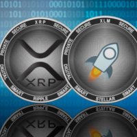 " Moon Lapin XRP" (@dssfd43481268) 's Twitter Profile