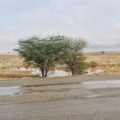 nasraltmymy7's profile picture. (نمشي على كف القدر ولا ندري عن المكتوب)