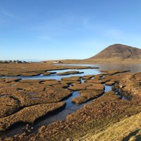 Croftacoffee (@croftacoffee) 's Twitter Profile