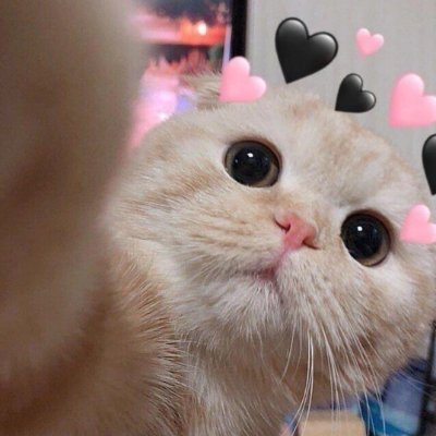 is__raa's profile picture. 