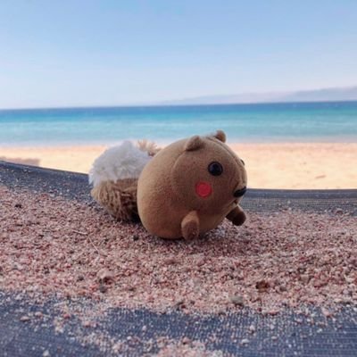 Skurik88's profile picture. Excited about #NFTs 
looking for a community that loves to travel, share experiences, give back and make a difference:)