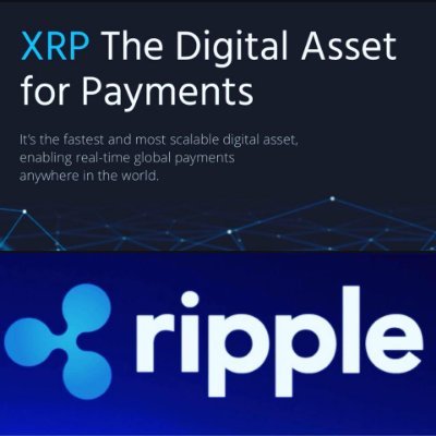 Ripple (XRP)  for investors to discuss, debate and inform each other of any news, price movements and any other important information that is relevant to rippl