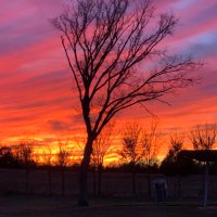 Txbornnbred (@biotxbornnbred) 's Twitter Profile