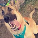 Aiden Steele - @AidenSteele20 - Twitter