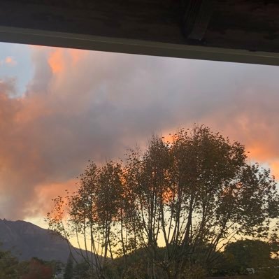 SanushaNaidu's profile picture. retweets are not endorsements