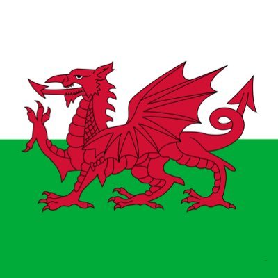 CymraegAdamsPri's profile picture. 🏴󠁧󠁢󠁷󠁬󠁳󠁿 Croeso! Follow the development of Cymraeg and the Welsh dimension yma at Adamsdown Primary School.