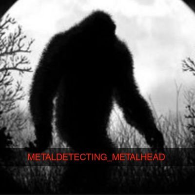 instagram: Metaldetecting_Metalhead and DTMetaldetecting