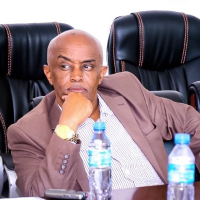Chairman of Registration and Approval of Political Parties Committee - Somaliland Rep., Member of the House of Rep (MP) 2005 - 2021; Lawyer; Banker