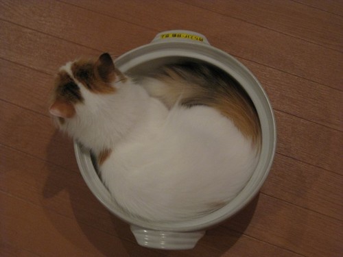 lisaandreagay's profile picture. 