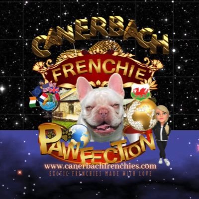 Carys Brennan (CanerBach Frenchies)