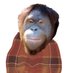 ApeToken🛸BiggestFan (Merlin🔮🧙) (@apetokenfanboi) Twitter profile photo ApeToken🛸BiggestFan (Merlin🔮🧙) (@apetokenfanboi) Twitter profile photo