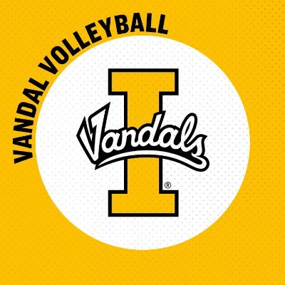 Vandal Volleyball