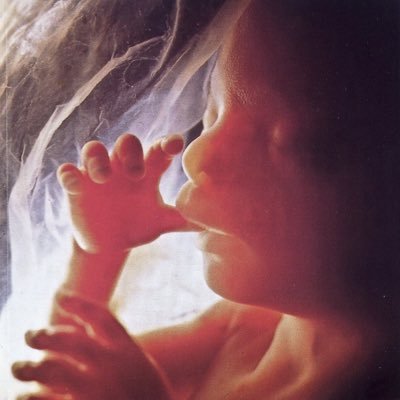 ProLifeEternal Profile Picture