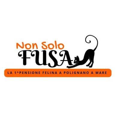 Pensione 
Allattamento
Stallo
Adozioni
Taxi-cat
Cat-shop