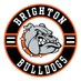 Brighton High School Hockey (@brightonhockey1) Twitter profile photo