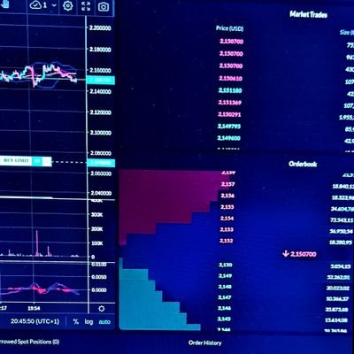 crypto__scoop's profile picture. down the rabbit hole