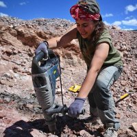 Elena Cuesta🦖 (@elenapaleo) 's Twitter Profile