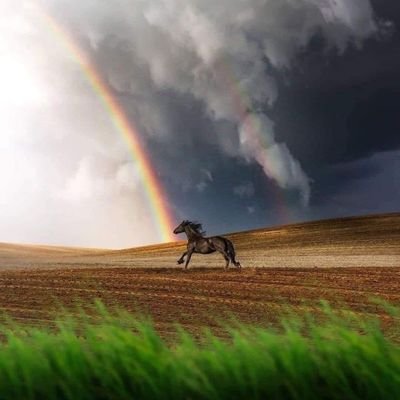 STEELMAN3021's profile picture. 