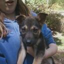 Pamela Wright Howell - @wrightalot - Twitter