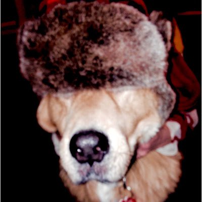 WinstonSmithson's profile picture. 