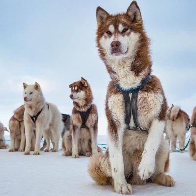 HamzaKh31014951's profile picture. 