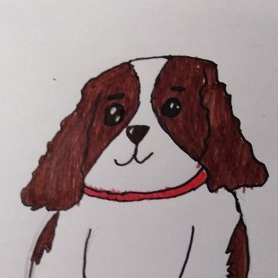 https://t.co/FGCagN7X42 -My app in Chrome(Creator:Mike Russitte)