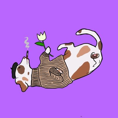 Maxbvx.eth Profile