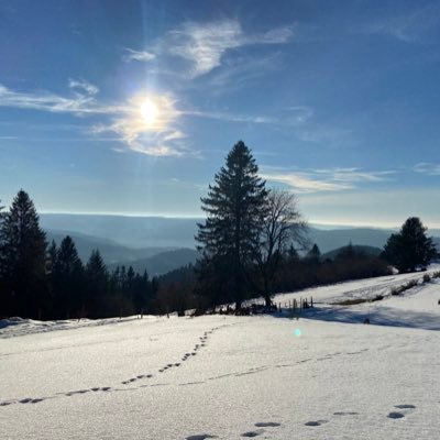 Louisdcl's profile picture. Nothing really impressive I guess