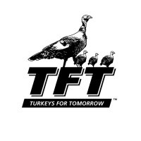 Turkeys for Tomorrow(@ForTurkeys) 's Twitter Profile Photo