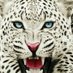 عباد الرحمن (@ms64wk9) Twitter profile photo عباد الرحمن (@ms64wk9) Twitter profile photo