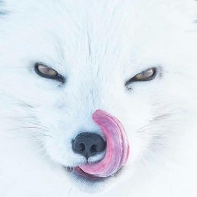 yazahra2_h's profile picture. ^_^ tech geek *-*