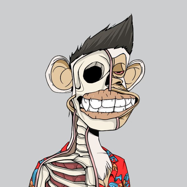 mikeberro's profile picture. I build brands @qonkur
