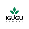 GlobalIgugu Profile Picture