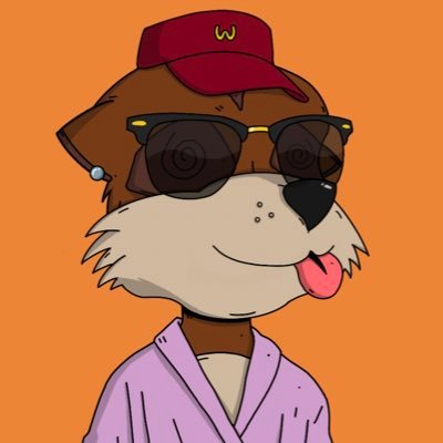 meetarora_'s profile picture. securing the interwebs🕸️