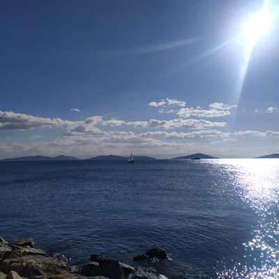 defsavunma's profile picture. 