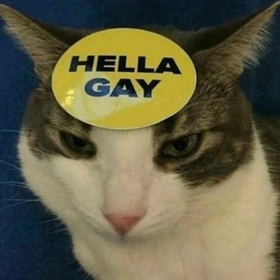 coraldmcastro's profile picture. 🇵🇷