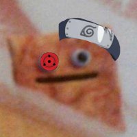 Chu (@chu_r6) 's Twitter Profile