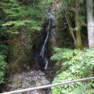 ドラム叩きます🥁突然山に登りたくなります⛰️近場の温泉よく行きます♨️グラビアアイドルさん、セクシー女優さんは全推しです🥰
最近の日本、世界情勢に物凄く違和感と不信感…。いつの間にか政治メイン垢に😅/無言フォローとリポスト失礼します🙇無言フォロー•リポストOKです🙆