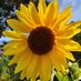 Leaders (@leadersbest) Twitter profile photo Leaders (@leadersbest) Twitter profile photo