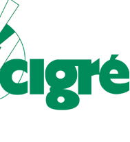 CIGRE is een wereldwijde organisatie op het gebied van energietransport op hoge spanning. Namens CIGRE is in Nederland een Nationaal Comité CIGRE actief.