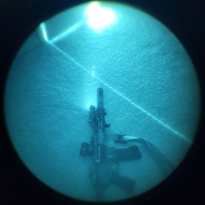 ScottyPRevere's profile picture. Intergalactic Cockfighter. 🏴