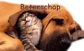 Beterschap_ziek's profile picture. 