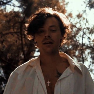 punchmeharry94's profile picture. I'm just a teenage dirtbag baby 🏳️‍🌈

fan account ❤️